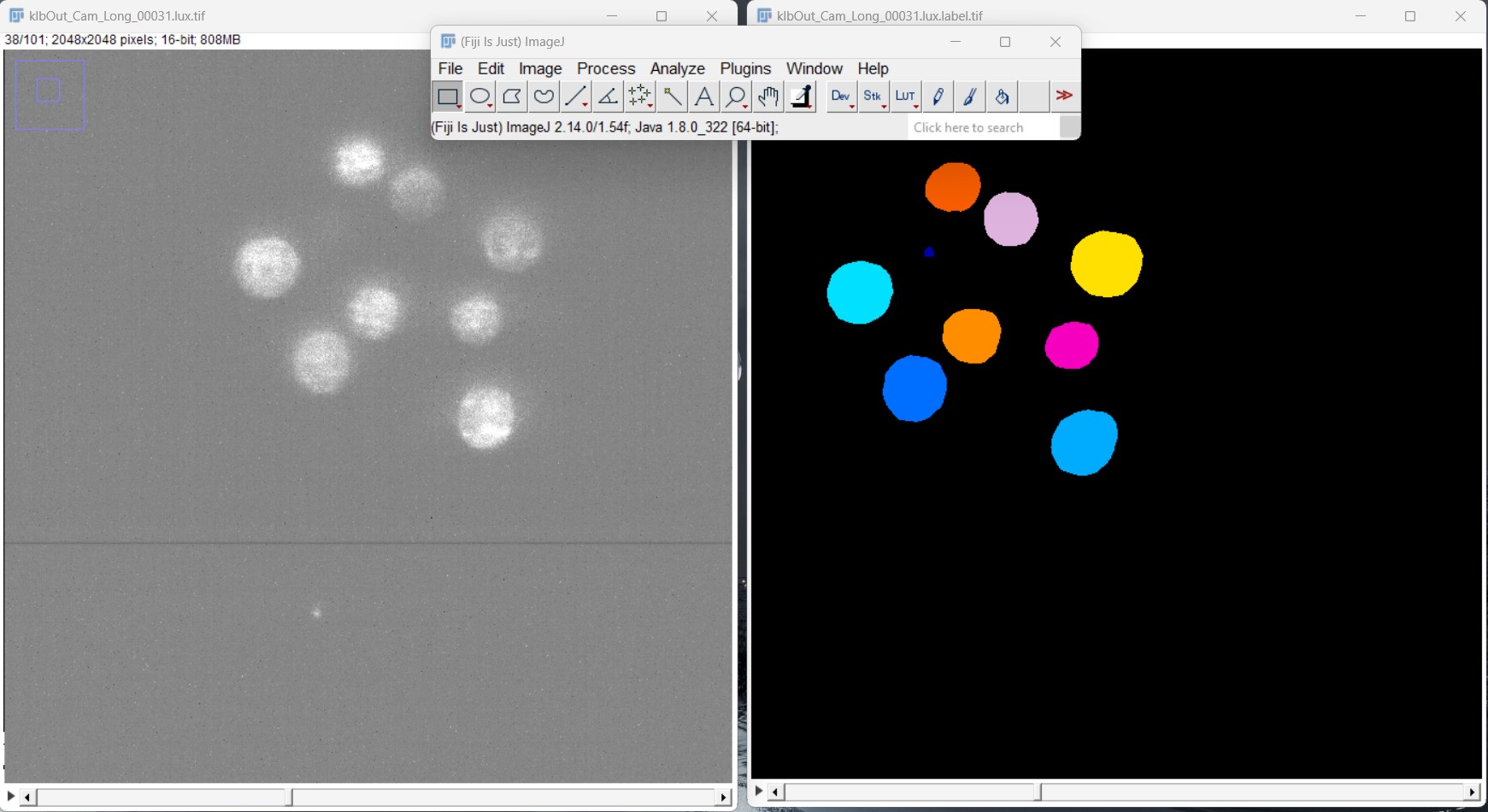 Segmentation Example